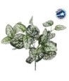 GloboStar® POLKA DOT PLANT 78259 Τεχνητό Φυτό Πόλκα - Μπουκέτο Διακοσμητικών Φυτών - Κλαδιών με Φύλλωμα Πράσινο - Λευκό Υ33cm